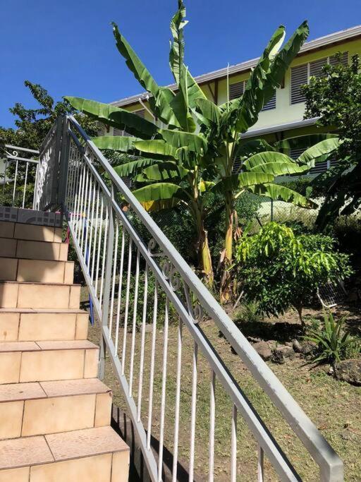 Studio Hibiscus-Ch Vue Sur Mer,Plage,Clim Les Anses-d'Arlets Luaran gambar