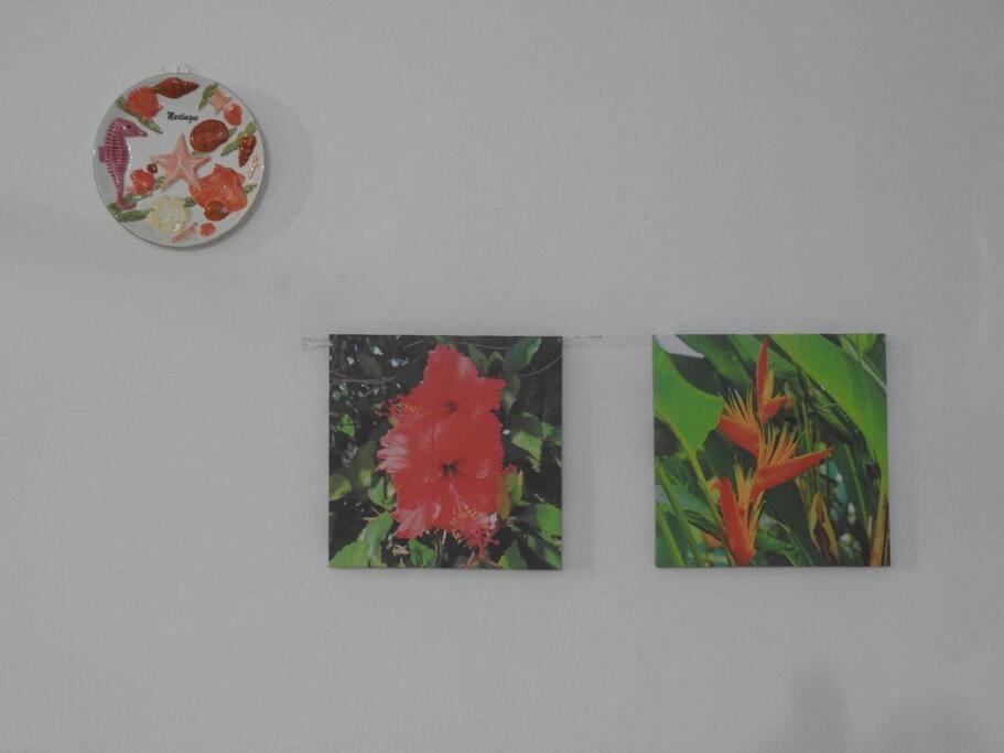 Studio Hibiscus-Ch Vue Sur Mer,Plage,Clim Les Anses-d'Arlets Luaran gambar